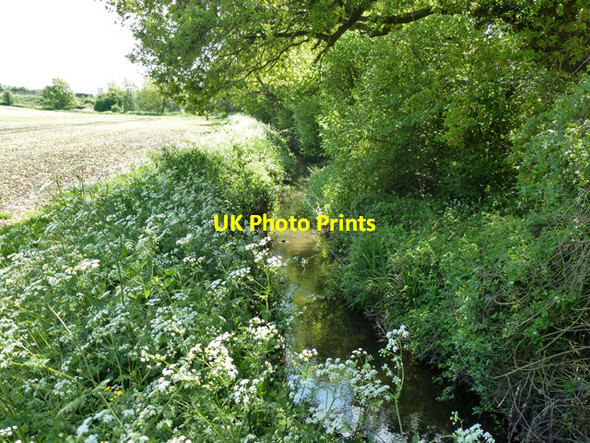 Photo 6"x4" Pods Brook Duckend Green c2013