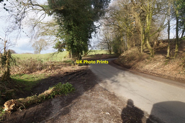 Photo 6"x4" Birtles Lane, near Over Alderley Whirley Grove c2017
