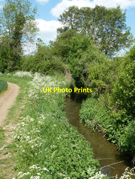 Photo 6"x4" Pods Brook Duckend Green c2013