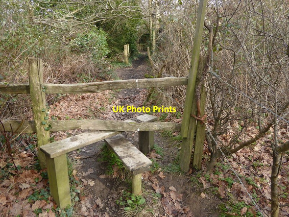 Photo 6"x4" Footpath to Fox Hill Burgess Hill c2017