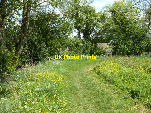 Photo 6"x4" Footpath from Pound Farm or Old Hall, Rayne Duckend Green c2013