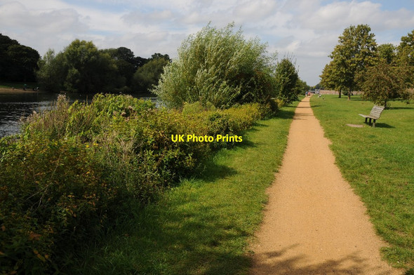 Photo 6"x4" The Thames Path beside Hampton Court Park Surbiton c2011
