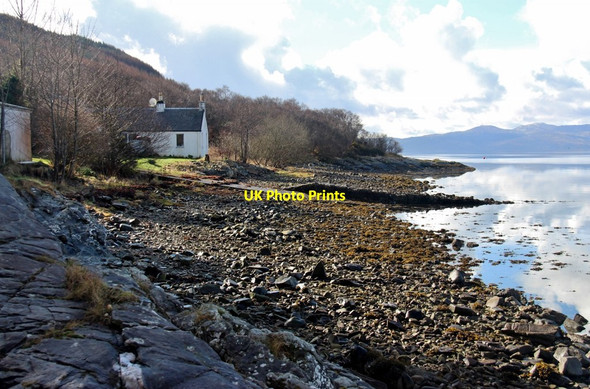 Photo 6"x4" Loch Fyne's shingle shore at Goirtein Croft Lephinchapel c2017