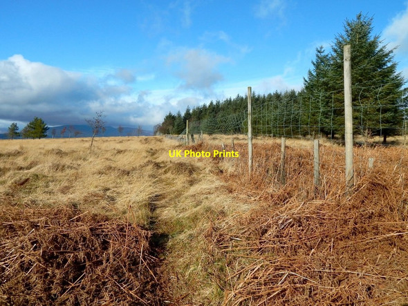 Photo 6"x4" Old boundary crossing line of wall Alexandria c2017