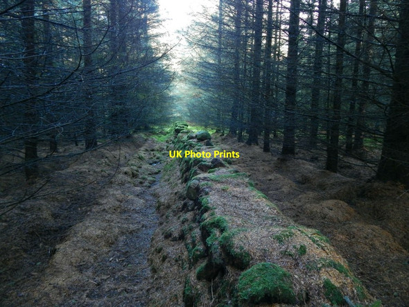 Photo 6"x4" Dry-stone wall in the woods Alexandria c2017