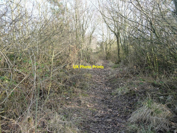 Photo 6"x4" Public bridleway from King's Meaburn to Burwain Hall King's Meaburn c2017