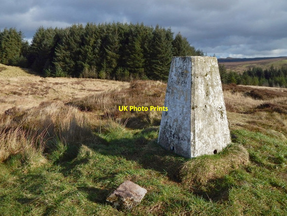 Photo 6"x4" Trig point on Pappert Hill Bonhill c2017