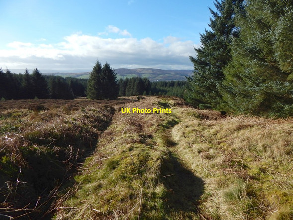 Photo 6"x4" Path leading down from Pappert Hill Alexandria c2017