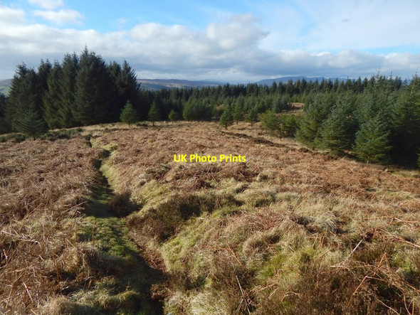Photo 6"x4" Path leading down from Pappert Hill Alexandria c2017 P1