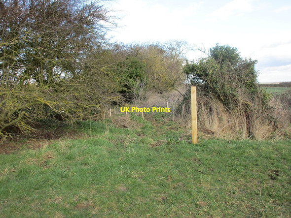Photo 6"x4" New post Culverthorpe c2017