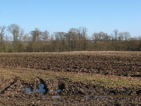 Photo 6"x4" Ploughed field near Turvey Turvey c2009