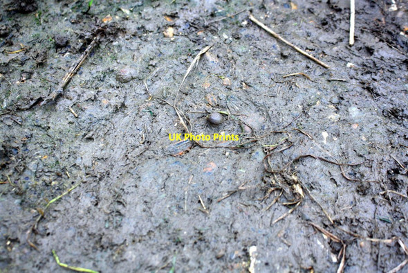 Photo 6"x4" Benchmark on Claydon Plank footbridge North End\/SP7027 c2017