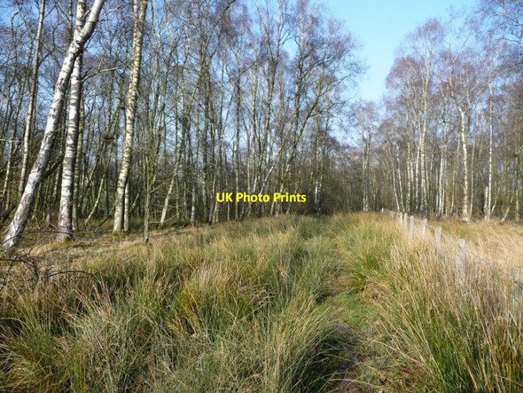 Photo 6"x4" Public bridleway to King's Meaburn Colby\/NY6620 c2017