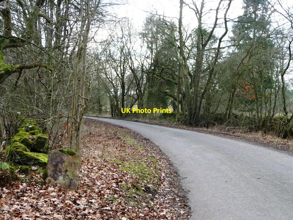 Photo 6"x4" Colby \/ King's Meaburn boundary stone, from the east Colby\/NY6620 c2017