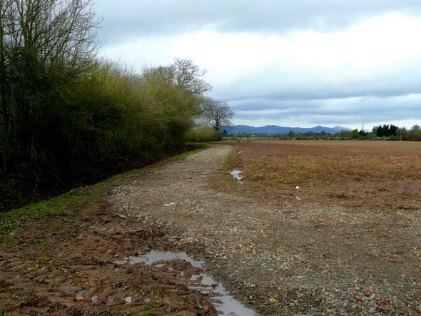 Photo 6"x4" View to the Malvern Hills Oridge Street c2009