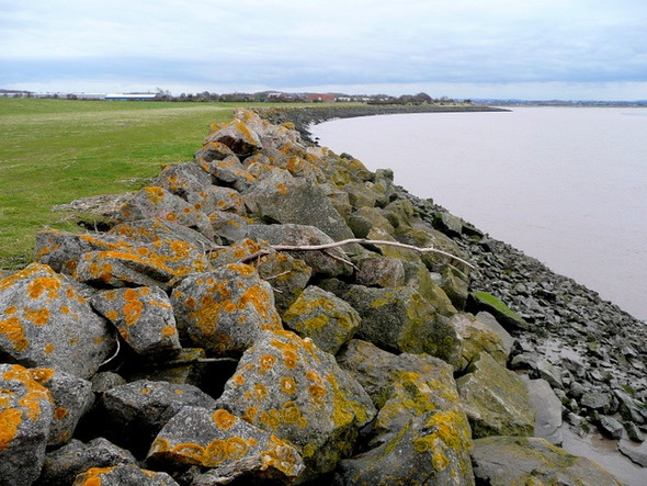 Photo 6"x4" Severn shoreline Tutnalls c2009