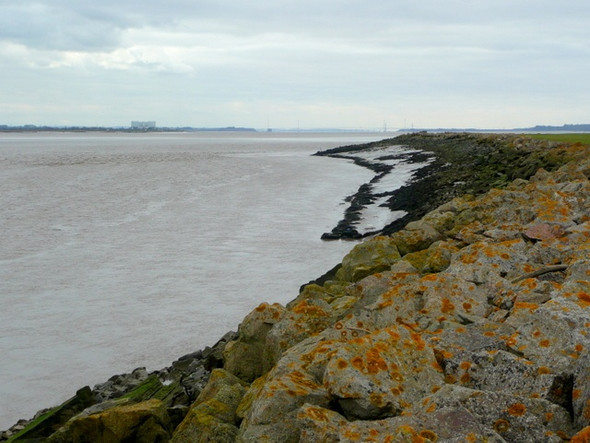 Photo 6"x4" Severn shoreline, looking south-west Aylburton c2009