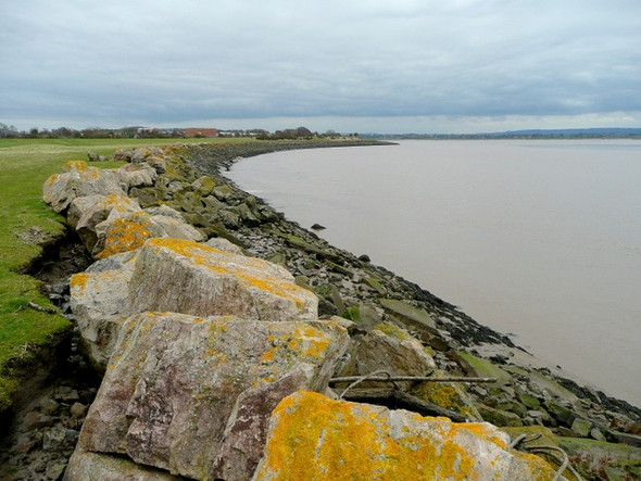 Photo 6"x4" The Severn shore near Lydney Harbour Tutnalls c2009