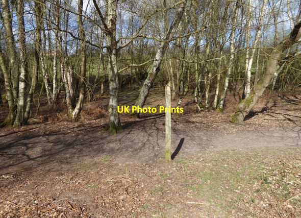 Photo 6"x4" Footpath heading towards Great Noven Farm crosses track Red House Common c2017