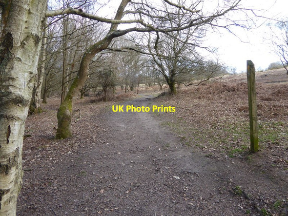Photo 6"x4" Track crosses footpath on Red House Common Red House Common c2017