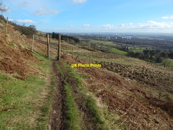 Photo 6"x4" Path leaving the woods Old Kilpatrick c2017