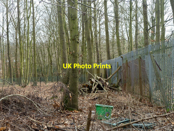 Photo 6"x4" A corner of Elmstead Wood Bromley\/TQ4069 c2012