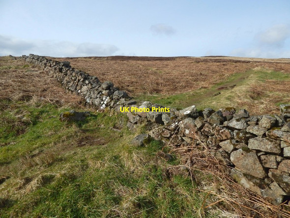Photo 6"x4" Path crossing the line of a dry-stone wall Old Kilpatrick c2017