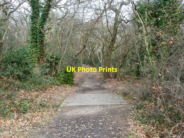 Photo 6"x4" Paths in Elmstead Wood Bromley\/TQ4069 c2012