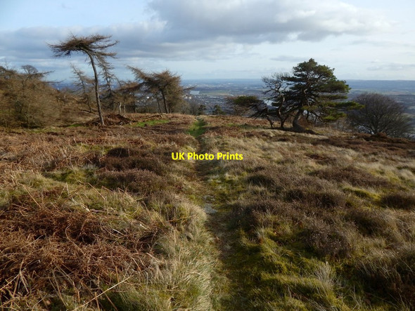 Photo 6"x4" Path in the Kilpatrick Hills Bowling\/NS4473 c2017