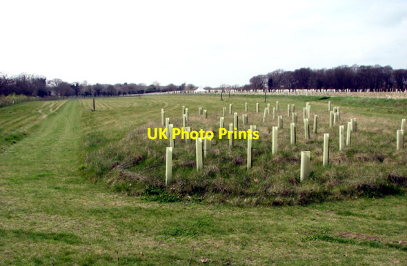 Photo 6"x4" The Bluebell Wood burial park Waterloo\/TG2219 c2017