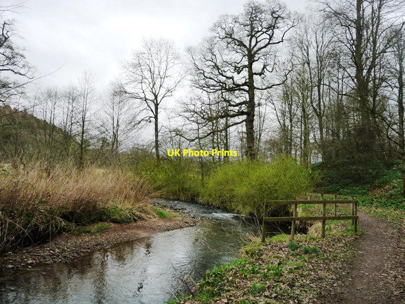 Photo 6"x4" Crowdundle Beck, Acorn Bank Newbiggin\/NY6228 c2017
