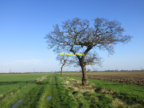 Photo 6"x4" Two of three Breighton c2017