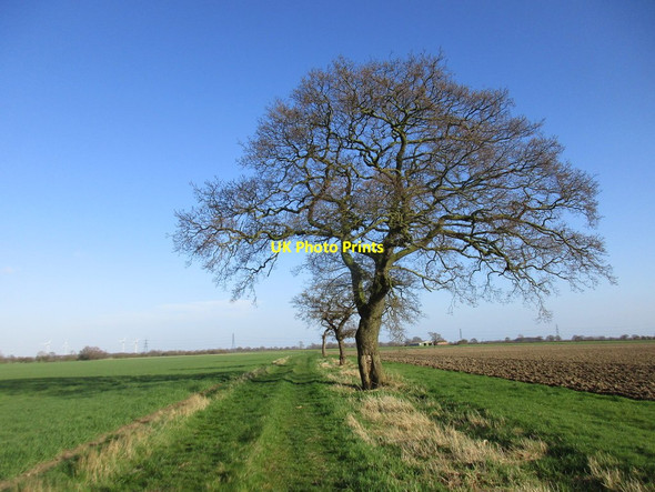 Photo 6"x4" Three of three Breighton c2017