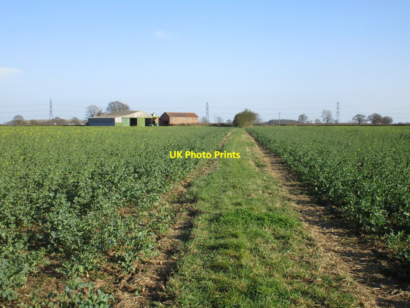 Photo 6"x4" Footpath to Wressle Wressle\/SE7131 c2017
