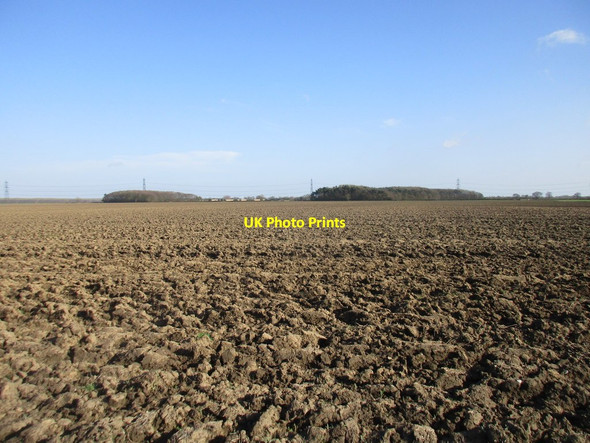 Photo 6"x4" View towards Intake Plantation and Grange Plantation Wressle\/SE7131 c2017