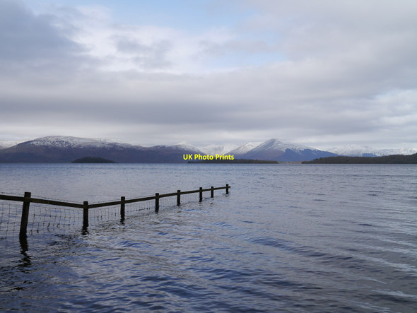 Photo 6"x4" Loch Lomond From Shore Wood Gartocharn c2017