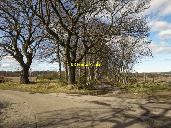 Photo 6"x4" National Cycle Network Route 1 Newton\/NJ1663 c2017