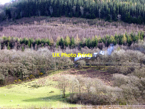 Photo 6"x4" A Vale of Rheidol Railway train Aberffrwd\/SN6878 c2017