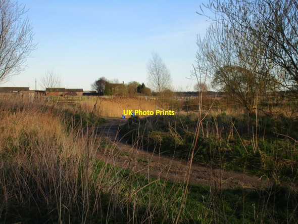 Photo 6"x4" Langwith Lakes and Langwith House Crockey Hill c2017