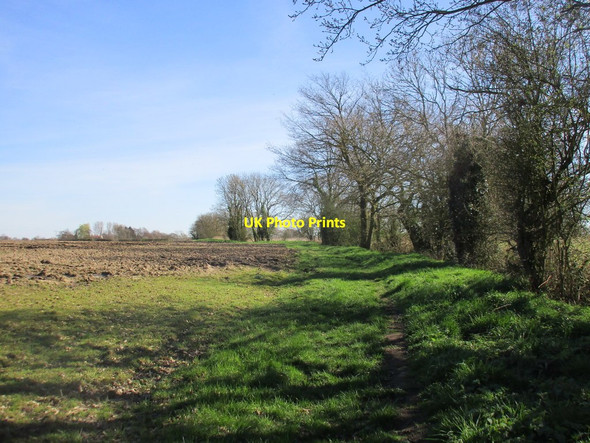 Photo 6"x4" Footpath to Canal Lane East Cottingwith c2017