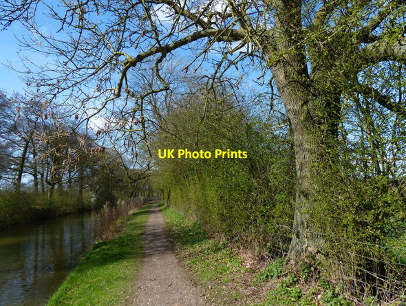Photo 6"x4" Market Harborough Branch of the Grand Union Canal Market Harborough c2017