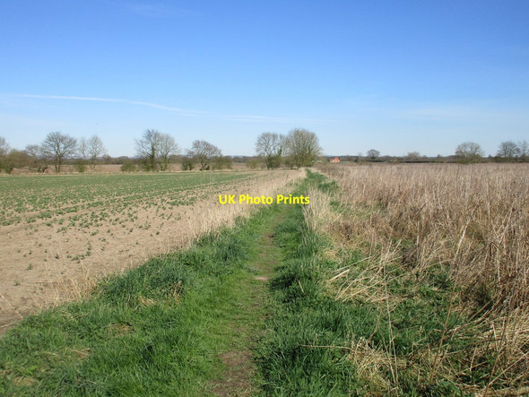 Photo 6"x4" Footpath to the Pocklington Canal East Cottingwith c2017