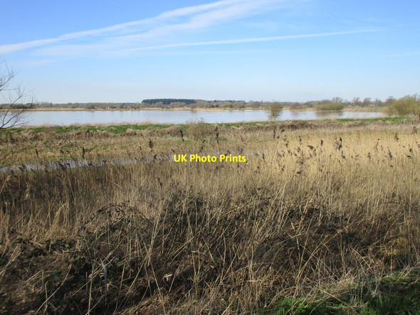 Photo 6"x4" Flooded ings north of East Cottingwith East Cottingwith c2017