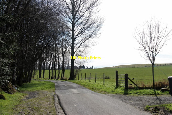 Photo 6"x4" Road to Rosneath Home Farm Portkil c2017