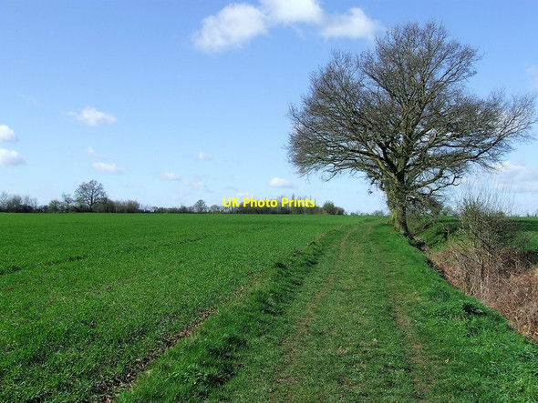 Photo 6"x4" Footpath Looking West Bridge End\/TL6731 c2017