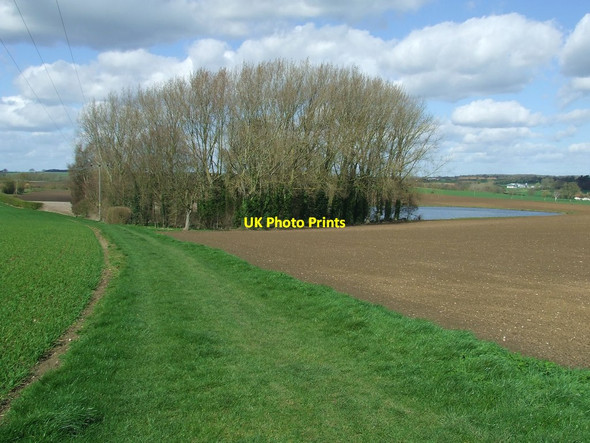 Photo 6"x4" Footpath And Copse Great Bardfield c2017