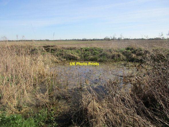 Photo 6"x4" Pond by Hag Lane East Cottingwith c2017