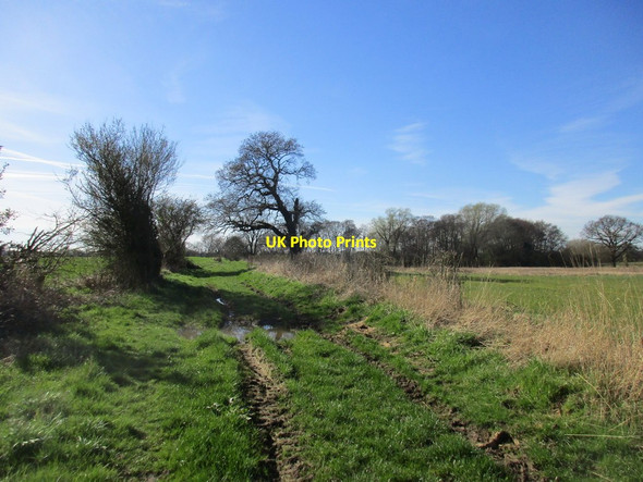 Photo 6"x4" Beyond Hag Lane East Cottingwith c2017