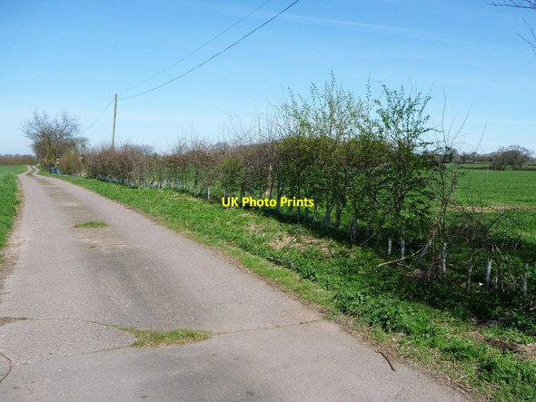 Photo 6"x4" New hedge along the footpath to Syerscote Lane Borough Park c2017