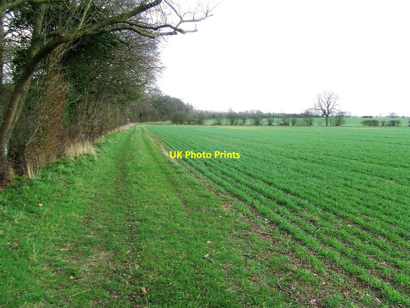 Photo 6"x4" Footpath And Field Boundary Hawkin's Hill c2017